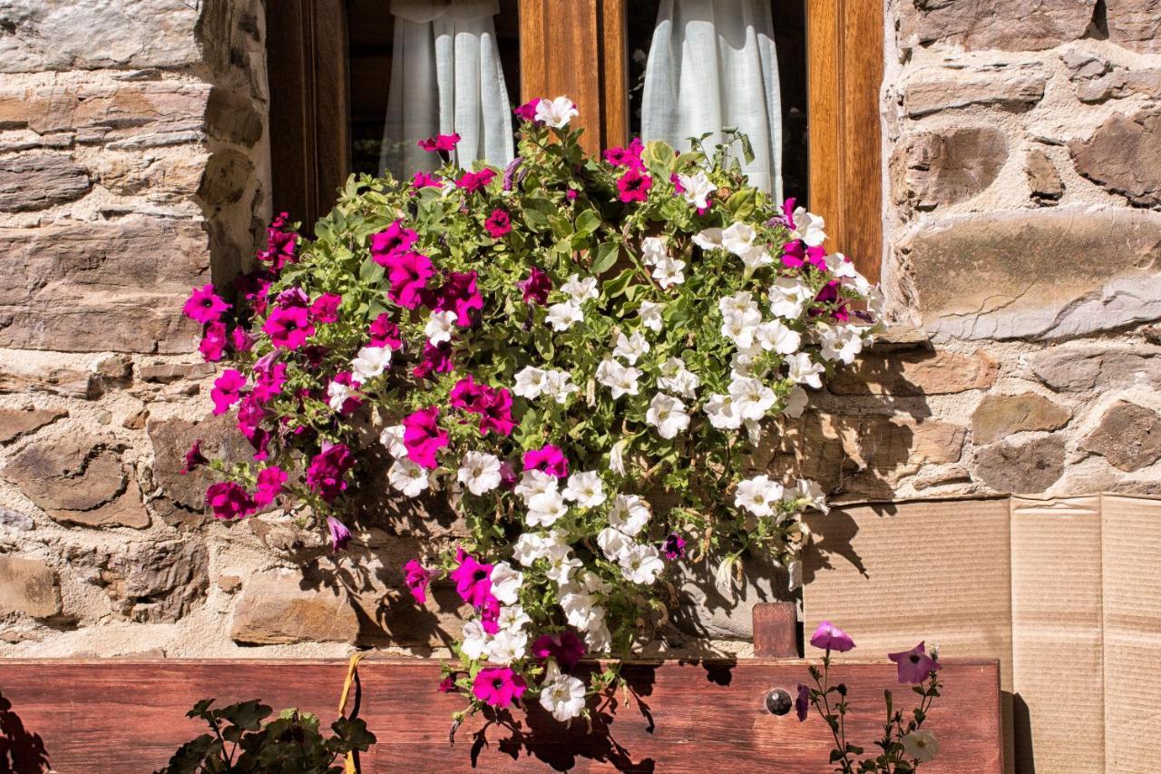 Hotel Valle Del Silencio San Esteban de Valdueza エクステリア 写真